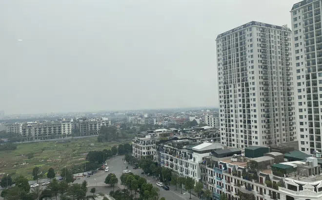 554 doanh nghiệp bất động sản giải thể trong 5 tháng đầu năm