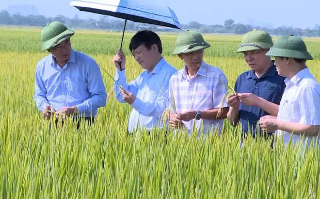 Thanh Hóa: Xây dựng NTM sẽ sớm về đích với nhiều sáng kiến khác biệt, phù hợp