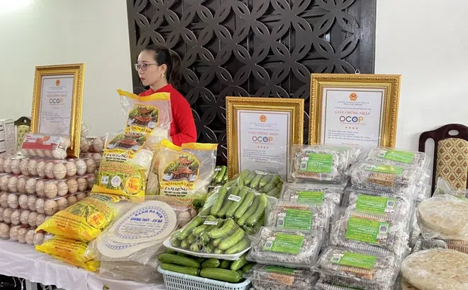 Hà Nội: Cơ hội quảng bá, giới thiệu sản phẩm nông nghiệp an toàn năm 2023