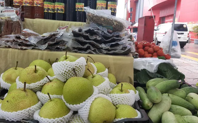 Hà Nội: Quảng bá, giới thiệu và bán nông sản thực phẩm tại các Trung tâm phân phối