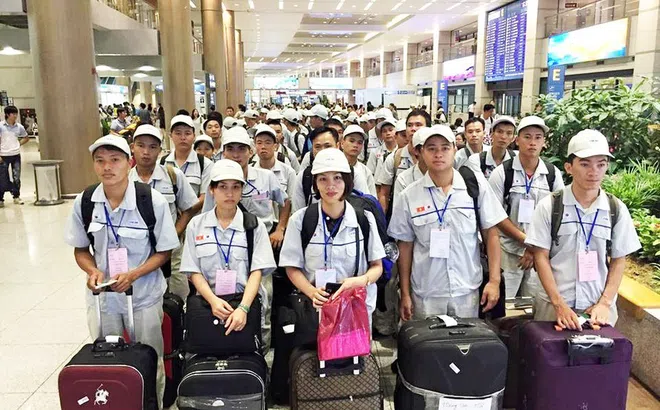 Lao động Việt Nam làm việc tại Hàn Quốc được tham gia BHXH từ ngày 1/1/2024