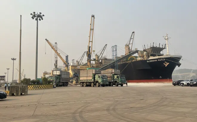 Đến giữa tháng 7, cả nước xuất siêu gần 12 tỷ USD