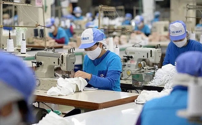 Thu nhập bình quân của người lao động năm 2024 đạt 7,7 triệu đồng/tháng