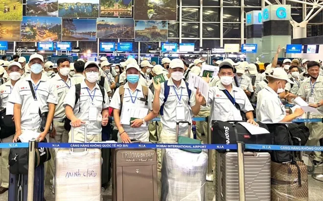 Gần 86.000 lao động đi làm việc ở nước ngoài