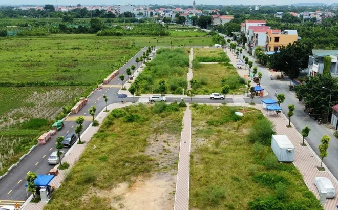 Bộ Tư pháp: Đề xuất cơ chế ngăn chặn lợi dụng hoạt động đấu giá đất để trục lợi