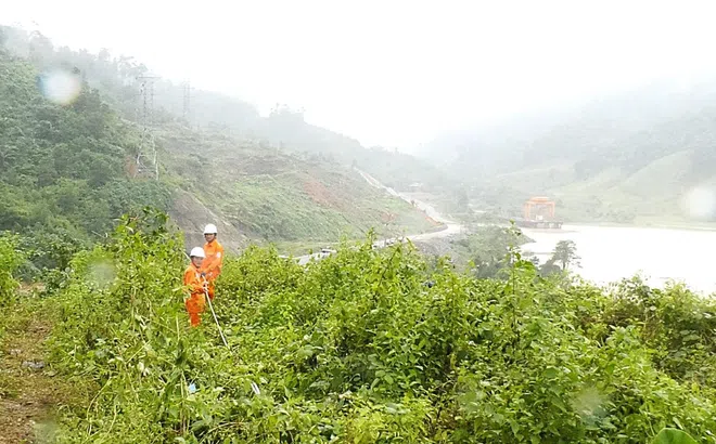 Họp khẩn ứng phó bão số 13: EVNCPC giữ vững an toàn, kỷ luật trong mưa lũ