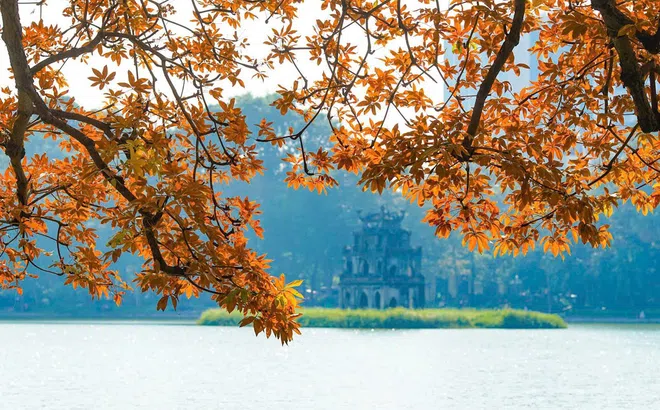 Việt Nam lọt Top điểm du lịch đẹp nhất thế giới vào mùa Đông