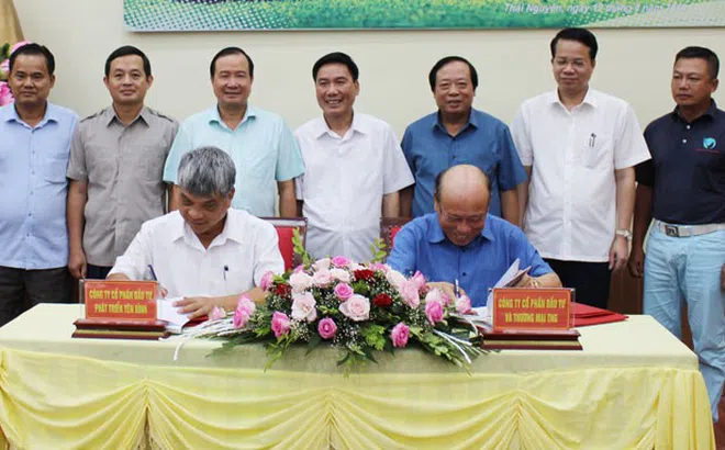 Thái Nguyên: Đầu tư triển khai Dự án sân golf Yên Bình-TNG