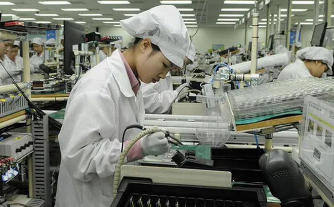 Gần 19.000 doanh nghiệp tại TP HCM ngừng hoạt động trong 6 tháng đầu năm