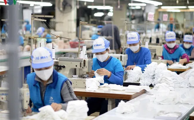 Tập đoàn Dệt May Việt Nam kiên trì mục tiêu bảo vệ nguồn lao động