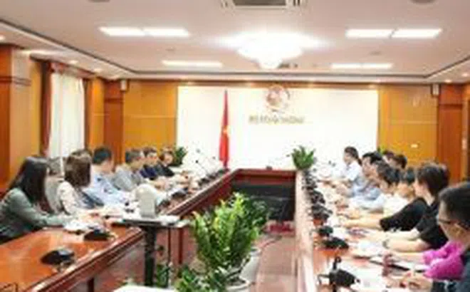 Thúc đẩy Chính phủ Nepal nhanh chóng cho tái xuất 58 container hồ tiêu