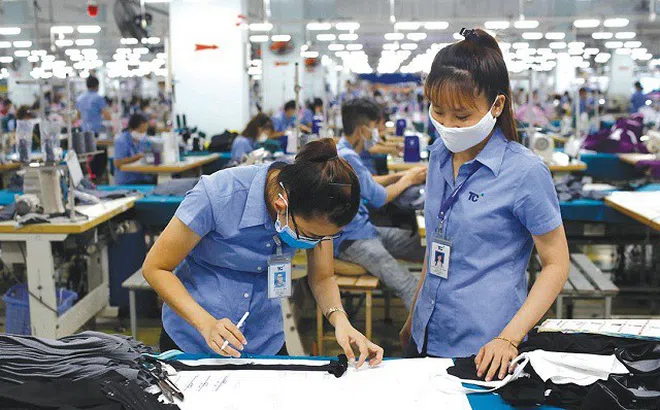 Tích cực hành động để nắm bắt cơ hội từ Hiệp định EVFTA
