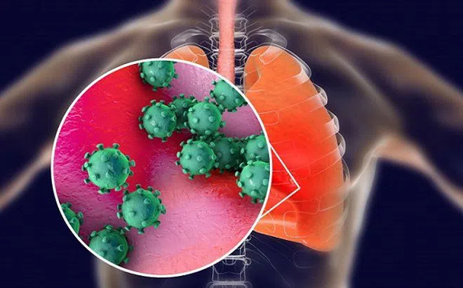 Thêm phát hiện mới nhất về chủng virus corona ở Vũ Hán