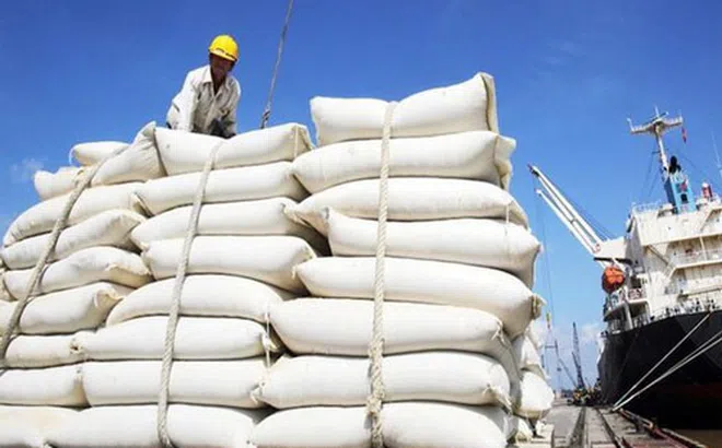 80.000 tấn gạo miễn thuế vào EU được phân bổ hạn ngạch ra sao?