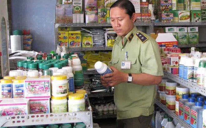 Tổng cục Quản lý thị trường gia tăng kiểm tra hoạt động sản xuất, kinh doanh vật tư nông nghiệp