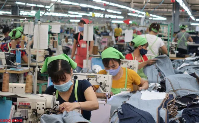 Tổng cục Thống kê: Điều tra đột xuất đánh giá tác động của COVID-19 đối với doanh nghiệp