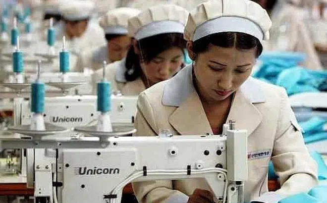 ILO: Tổn thất thời giờ làm việc toàn cầu trong quý IV ước tính lên đến 8,6%