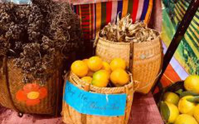 Đặc sắc sản phẩm tại Hội chợ - Triển lãm thành tựu kinh tế - xã hội tỉnh Thanh Hóa