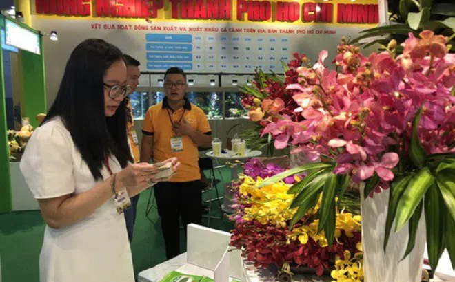 Khai mạc: Hội chợ triển lãm Công nghệ nuôi trồng, chế biến nông, lâm, thủy sản TP.HCM lần III