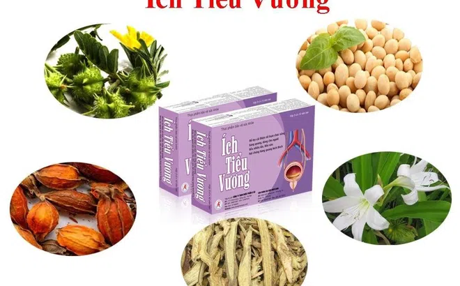 Ích Tiểu Vương – Giải pháp an toàn, hiệu quả cho người mắc chứng đái dầm