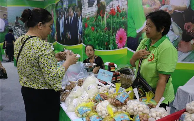 Hà Nội được đánh giá là thị trường tiềm năng tiêu thụ sản phẩm OCOP