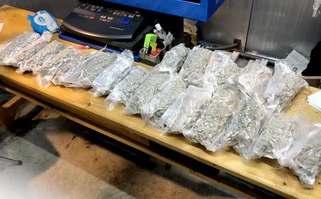 Hơn 5 kg cần sa được hút chân không gửi từ Canada về Việt Nam