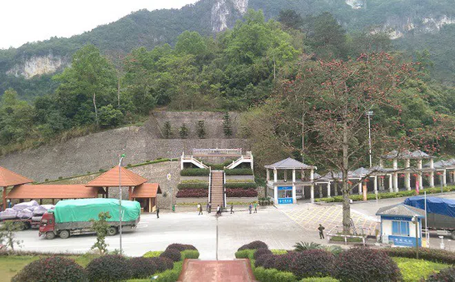 Thực hiện khai báo thông tin trước khi hàng đến cửa khẩu