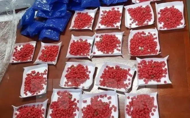 Đối tượng 17 tuổi tham gia vận chuyển gần 7.000 viên ma túy tổng hợp từ Lào về Việt Na
