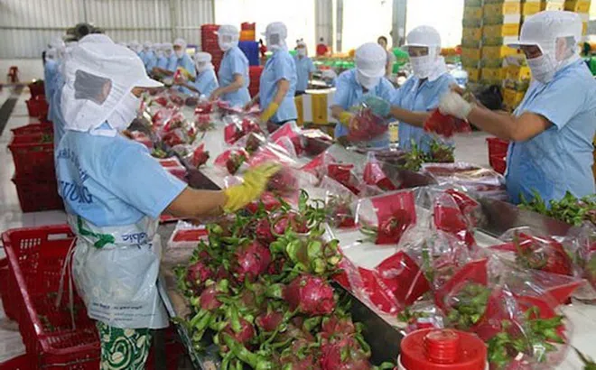Dự báo Trung Quốc tăng nhập khẩu nông sản vào đầu tháng 4