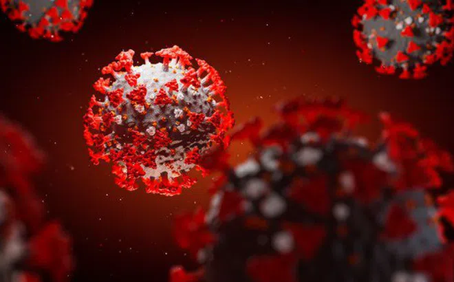 Virus corona tiếp tục đột biến, đã có 8 biến thể trên toàn cầu