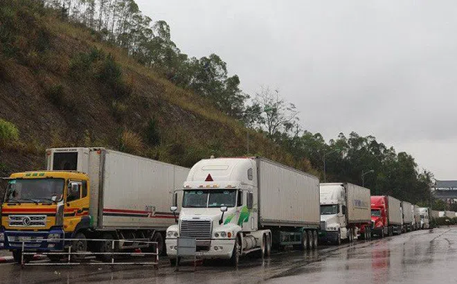 Sở Công thương Lạng Sơn: Khuyến cáo các DN, thương nhân khi xuất khẩu nông sản