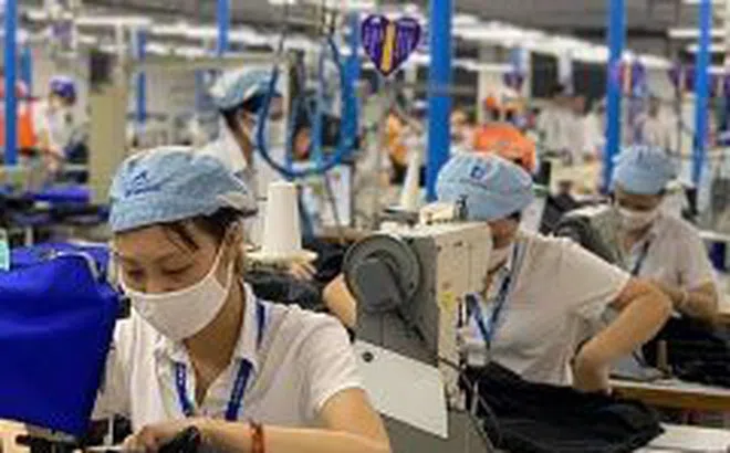 Gia tăng số doanh nghiệp ngừng hoạt động trong ngắn hạn
