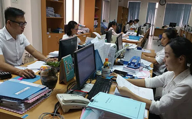3 trường hợp được xét tuyển vào công chức