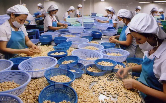 DN cần nắm rõ quy định của EU về NK thực phẩm trong dịch Covid-19