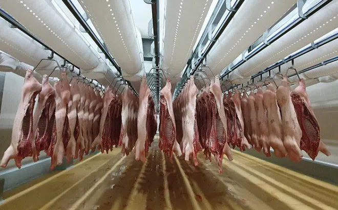 Xử lý nghiêm các trường hợp găm hàng, đẩy giá thịt lợn lên cao