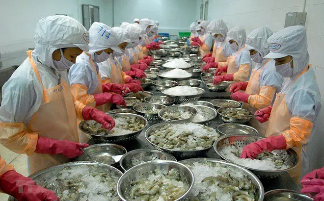 Xây dựng và khẳng định thương hiệu tại thị trường EU