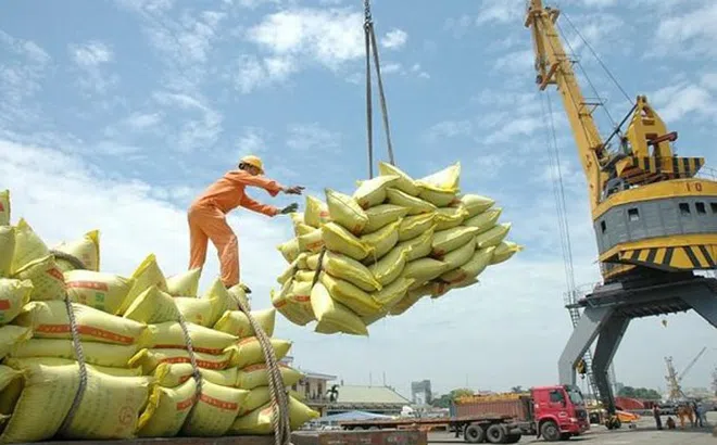 Hải quan ‘hỏa tốc’ hướng dẫn xuất khẩu gạo nếp