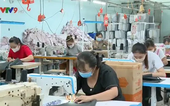 Triển khai nhiều hoạt động hỗ trợ doanh nghiệp bị ảnh hưởng bởi hạn mặn, dịch bệnh