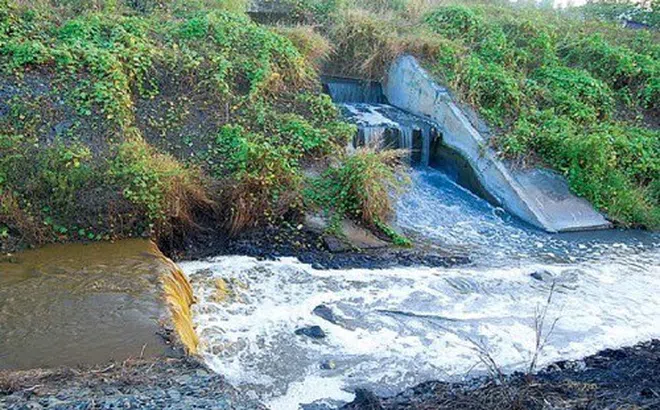 Đắk Nông: Công ty Khuê Đại Phát bị phạt hơn 400 triệu đồng vì xả thải ra môi trường
