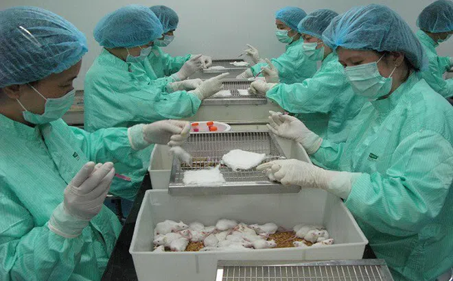 Triển vọng vaccine Covid-19 tại Việt Nam