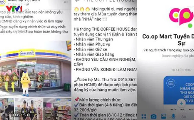 Lừa đảo môi giới việc làm: "Sập bẫy" vì nhẹ dạ cả tin