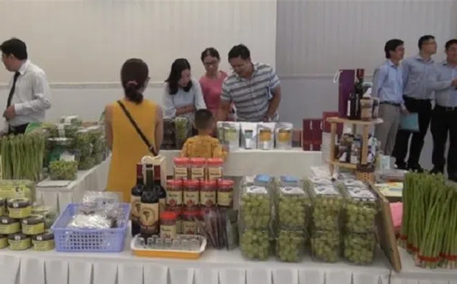 Đẩy mạnh kết nối giao thương 3 tỉnh Lâm Đồng – Bình Thuận – Ninh Thuận