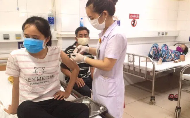 Đà Nẵng: Xử phạt 3 cơ sở kinh doanh trong vụ 230 người ngộ độc thực phẩm