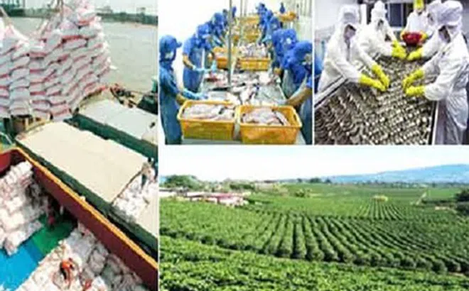 Bộ Nông nghiệp vẫn giữ mục tiêu xuất khẩu trên 41 tỷ USD